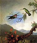 Martin Johnson Heade Famous Paintings - Amethyst Hummingbirds